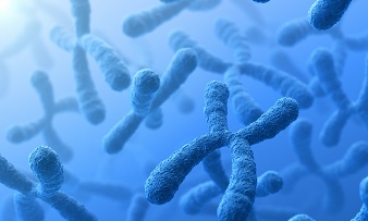 Patientforeninger 2022